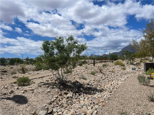 $2,745 | 11593 Cedar Shore Avenue, Las Vegas, NV 89138