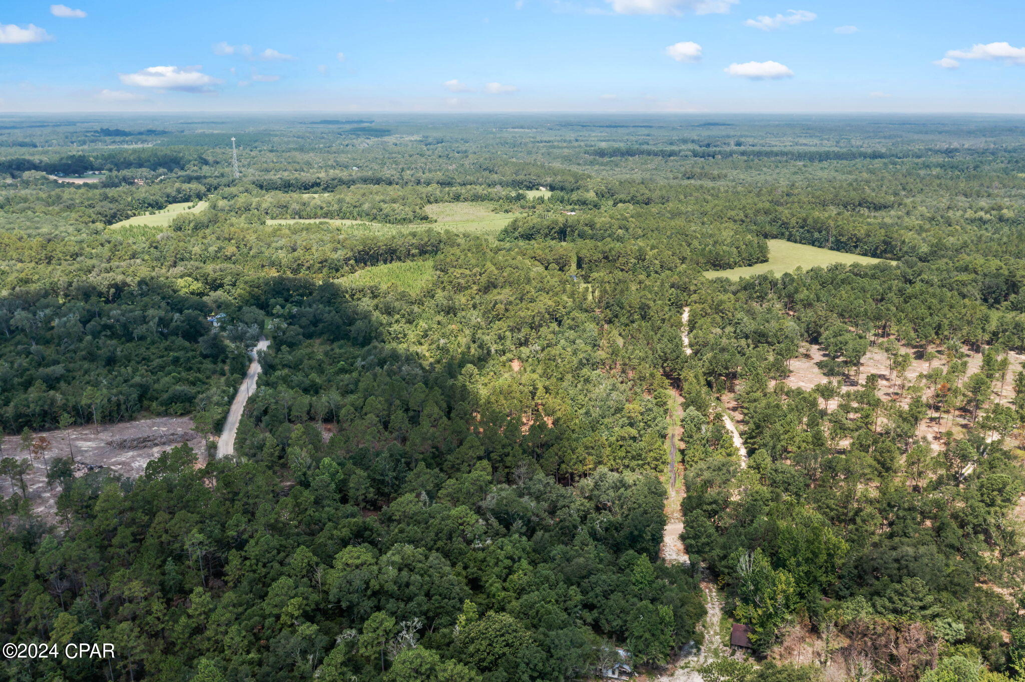 1679 Lawrence Road Bonifay, FL 32425 - Photo 11 of 18 Gallery Image 11