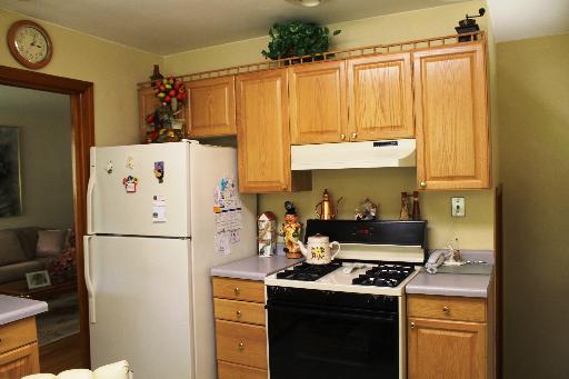 2337 11th Avenue Riverside, IL 60546 - Photo 4 of 12