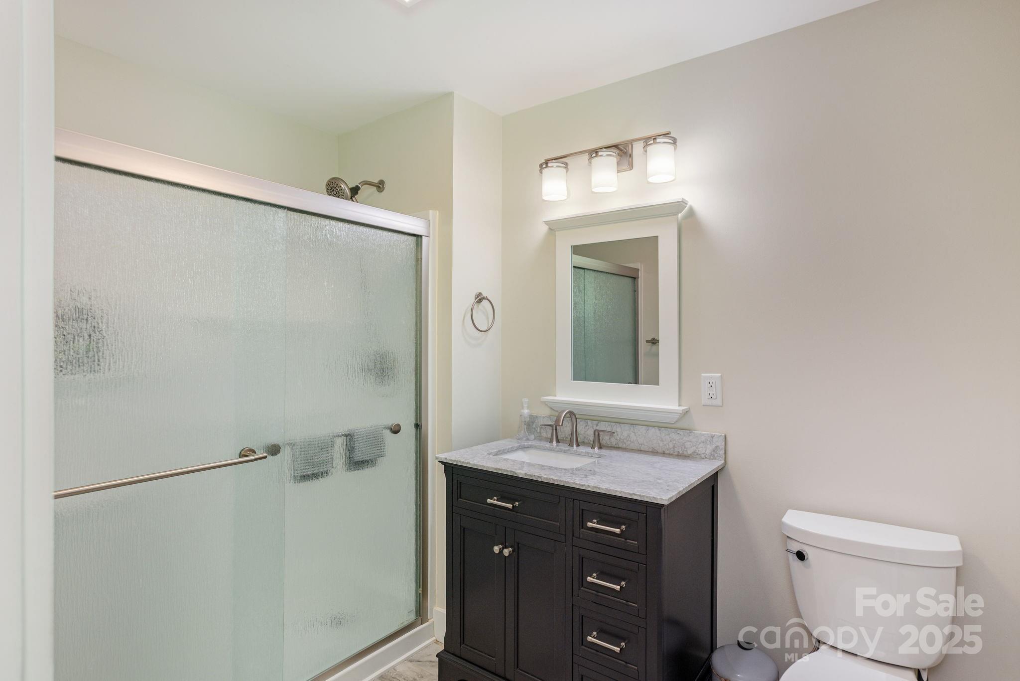 16 School House Road Mills River, NC 28759 - Photo 27 of 48 a bathroom with a sink toilet and mirror