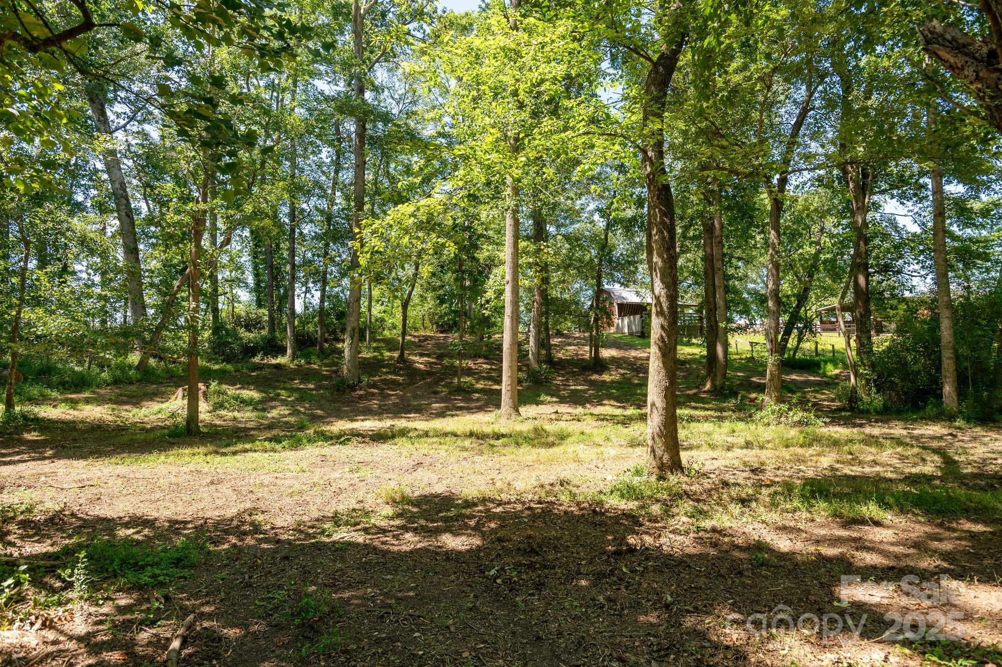16 School House Road Mills River, NC 28759 - Photo 42 of 48 a view of a tree with a yard