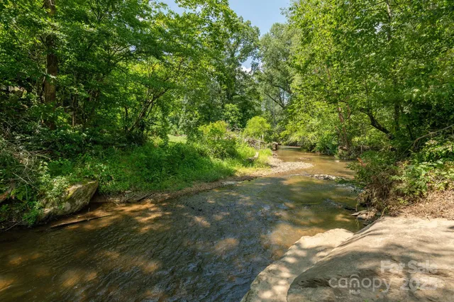 a view of a yard with plants and large trees