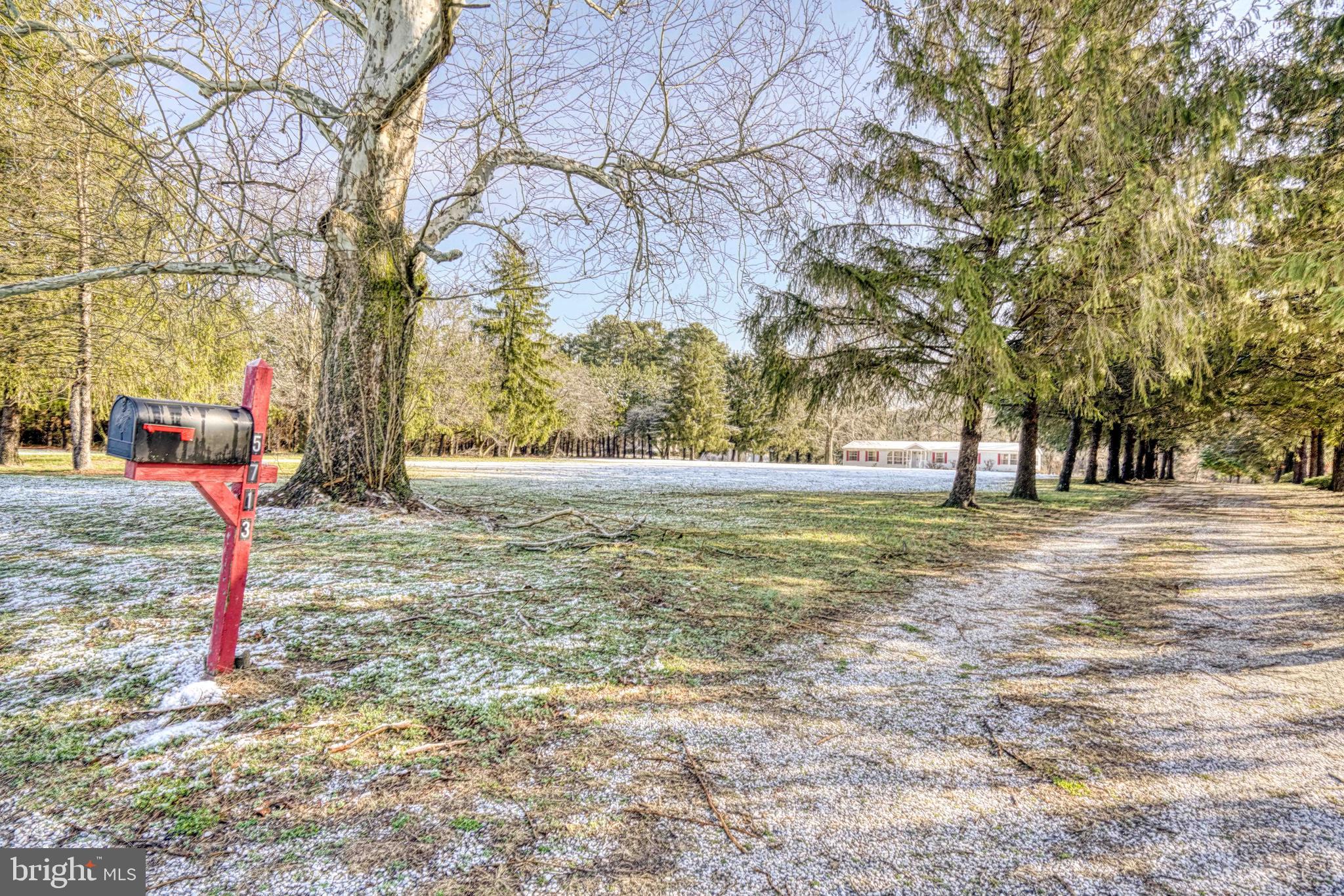 5713 Galestown Newhart Mill Road Rhodesdale, MD 21659 - Photo 68 of 93