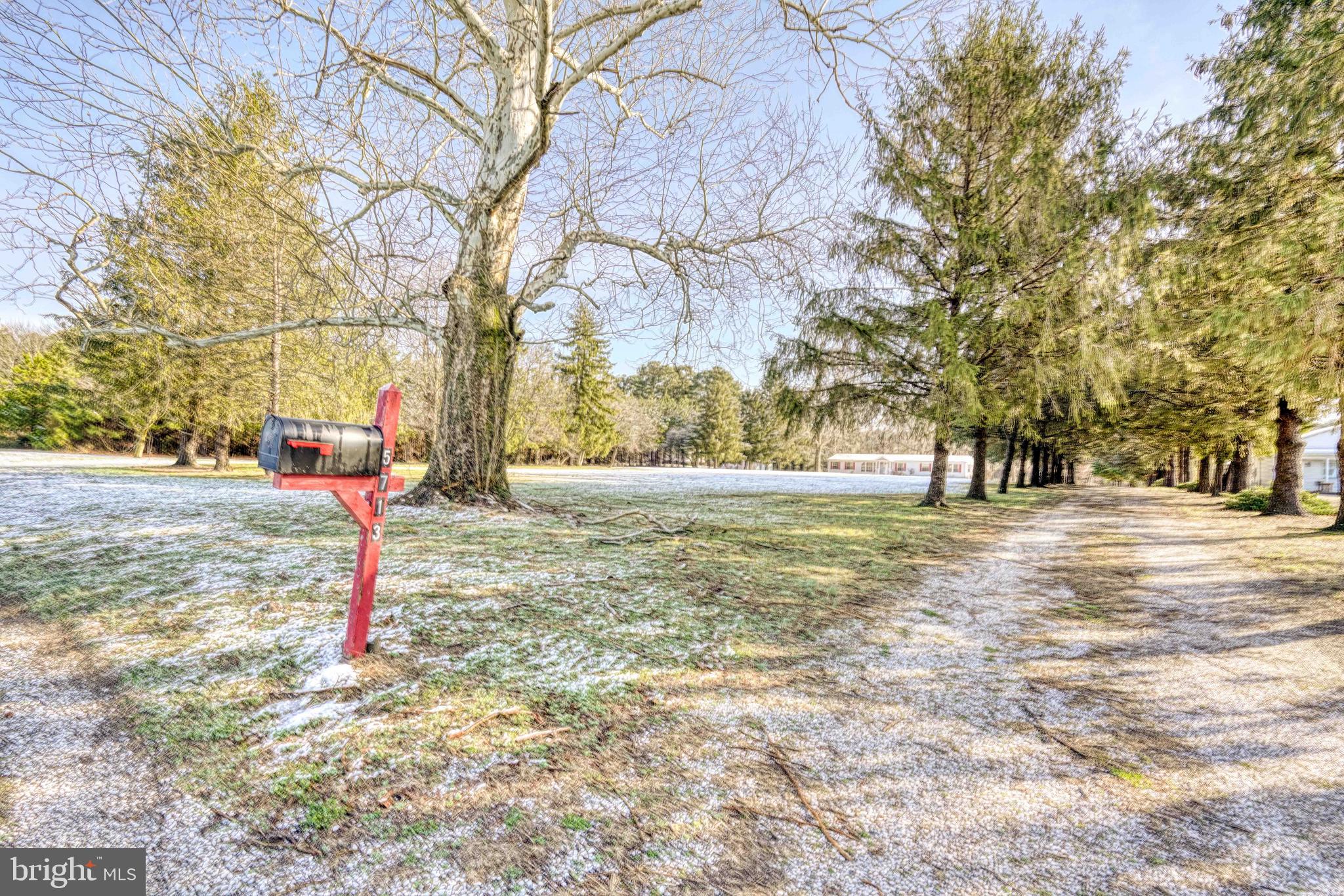 5713 Galestown Newhart Mill Road Rhodesdale, MD 21659 - Photo 69 of 93