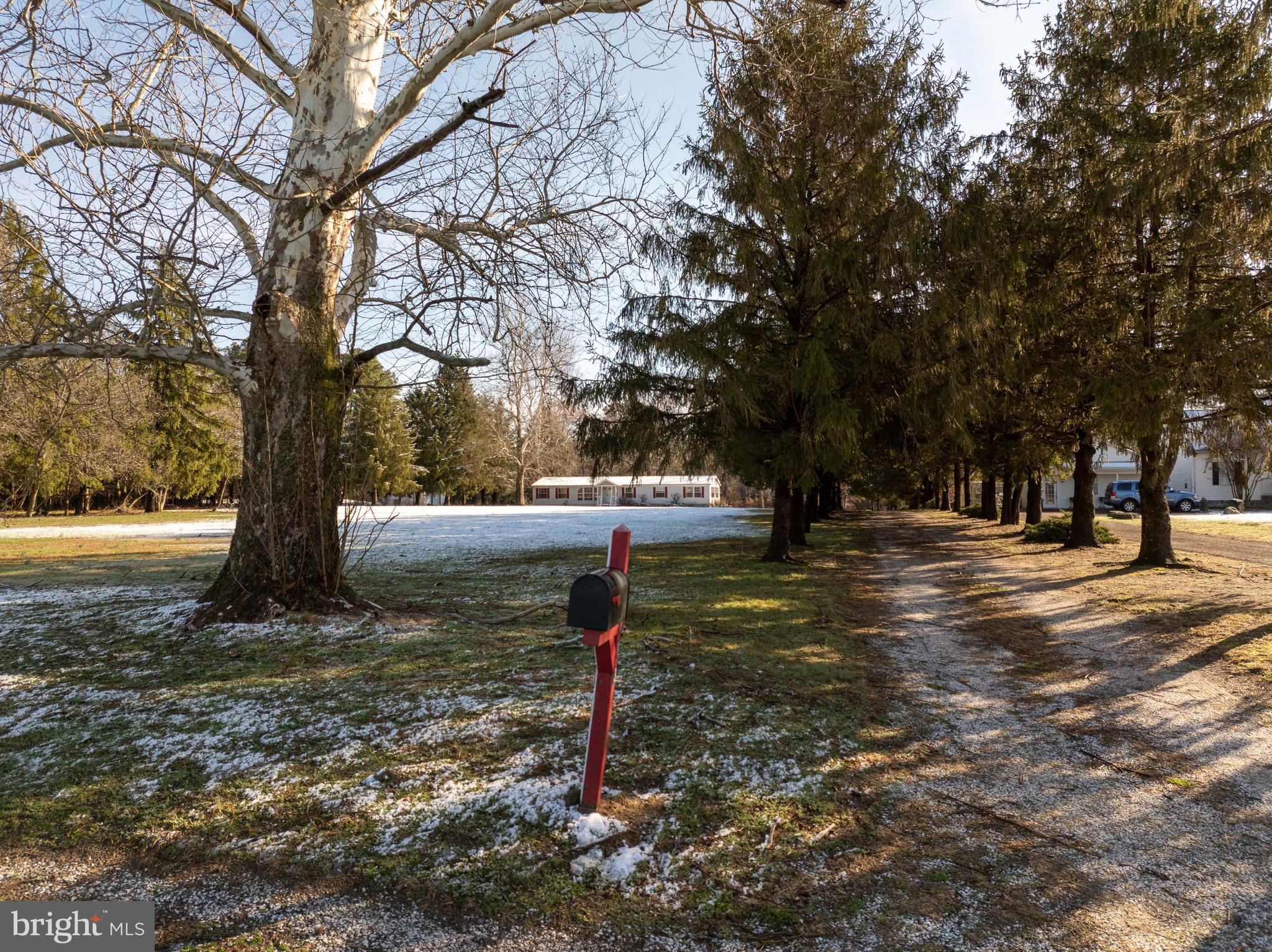 5713 Galestown Newhart Mill Road Rhodesdale, MD 21659 - Photo 70 of 93