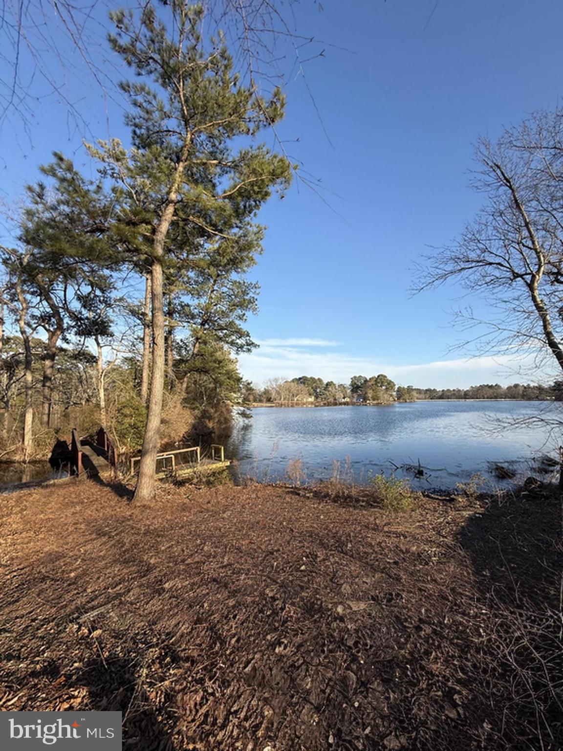 5713 Galestown Newhart Mill Road Rhodesdale, MD 21659 - Photo 92 of 93