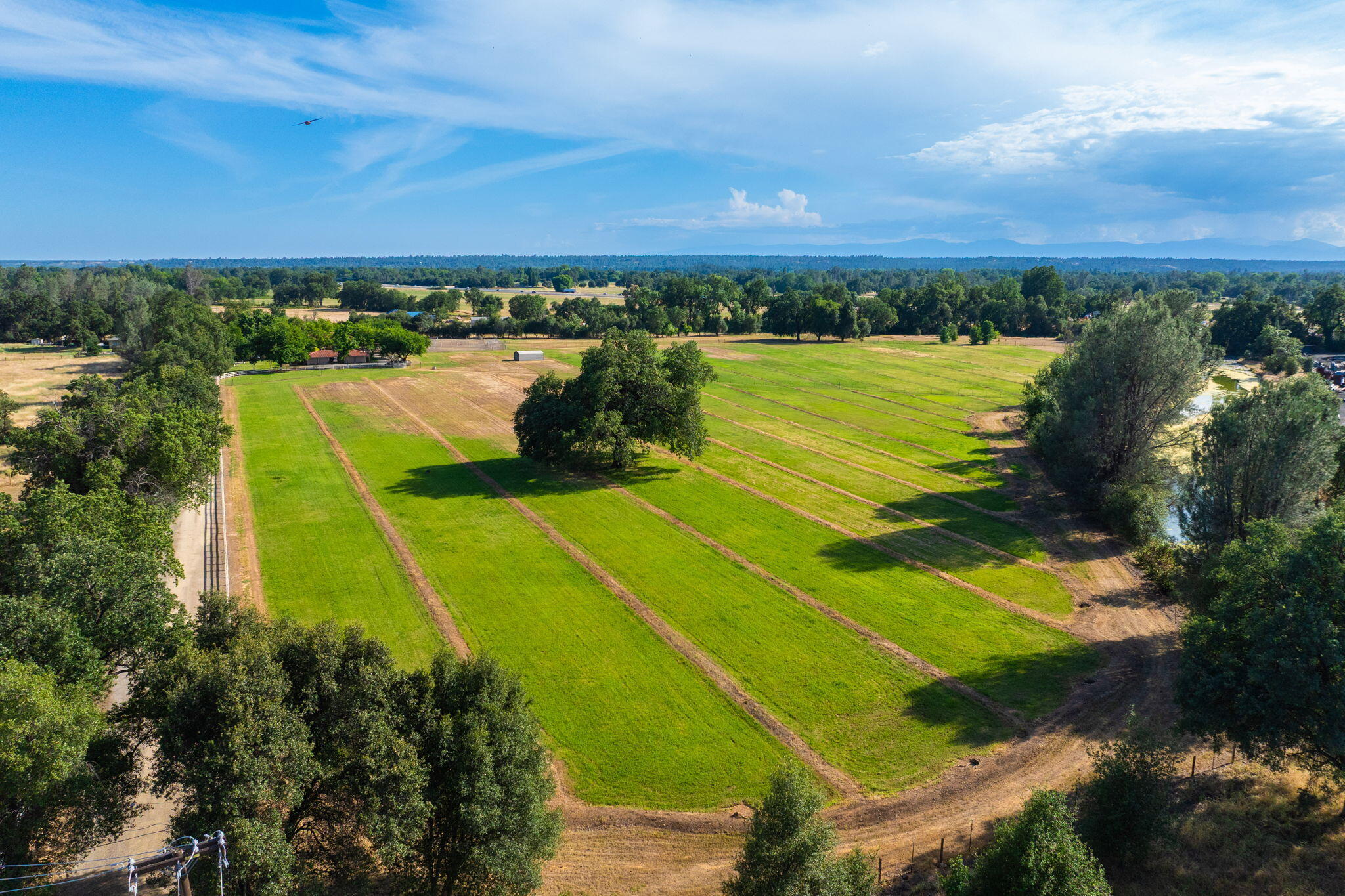 5521 Churn Creek Road Redding, CA 96002 - Photo 39 of 44 Aerial View