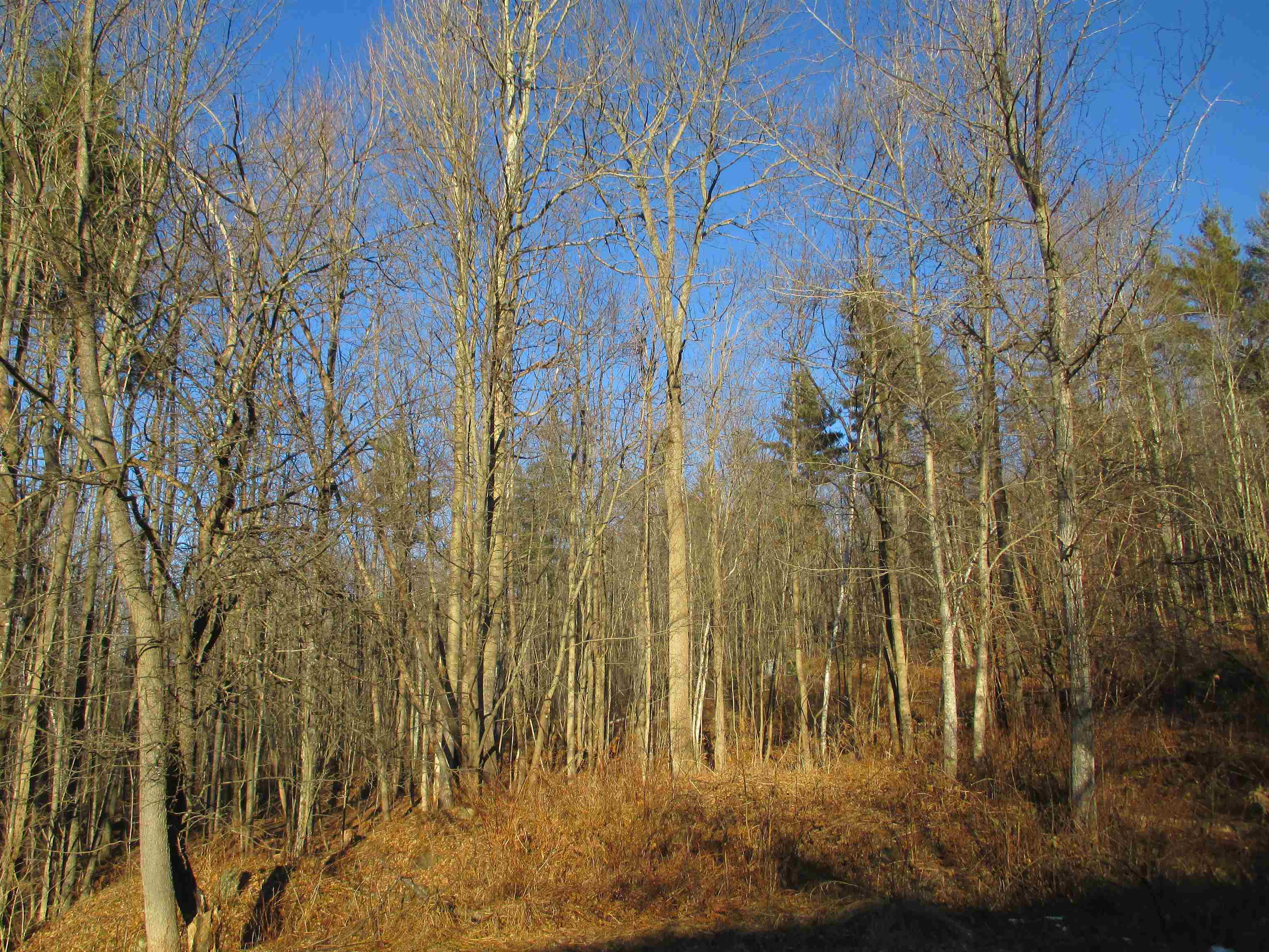 791 Smutty Hollow Road Monroe, NH 03771 - Photo 26 of 38