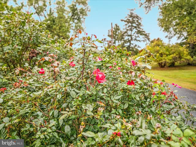 $635,000 | 517 West Locust Street, Woodstock, VA 22664