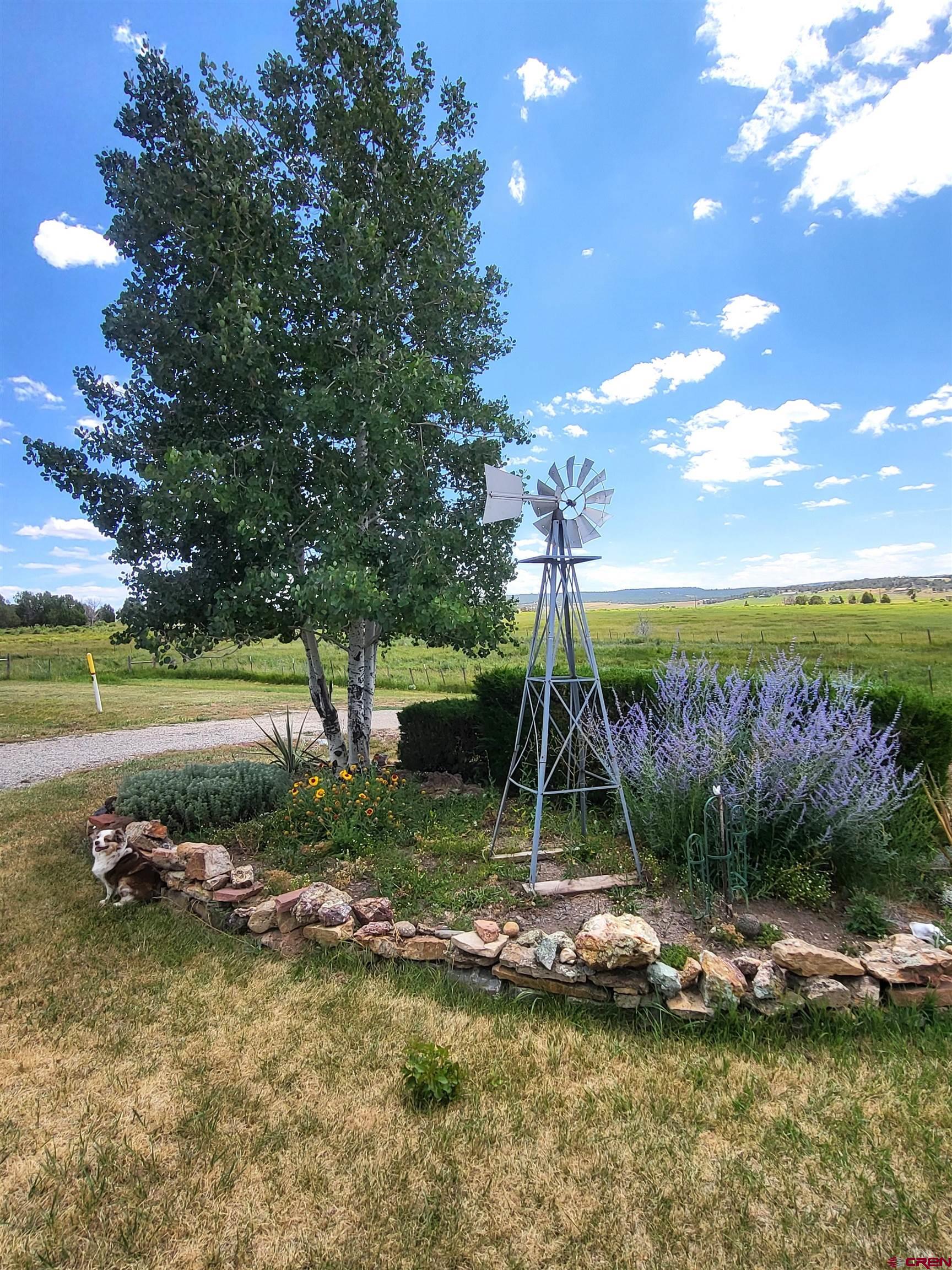 167 Homestead Road Norwood, CO 81423 - Photo 29 of 31 Gallery Image 29