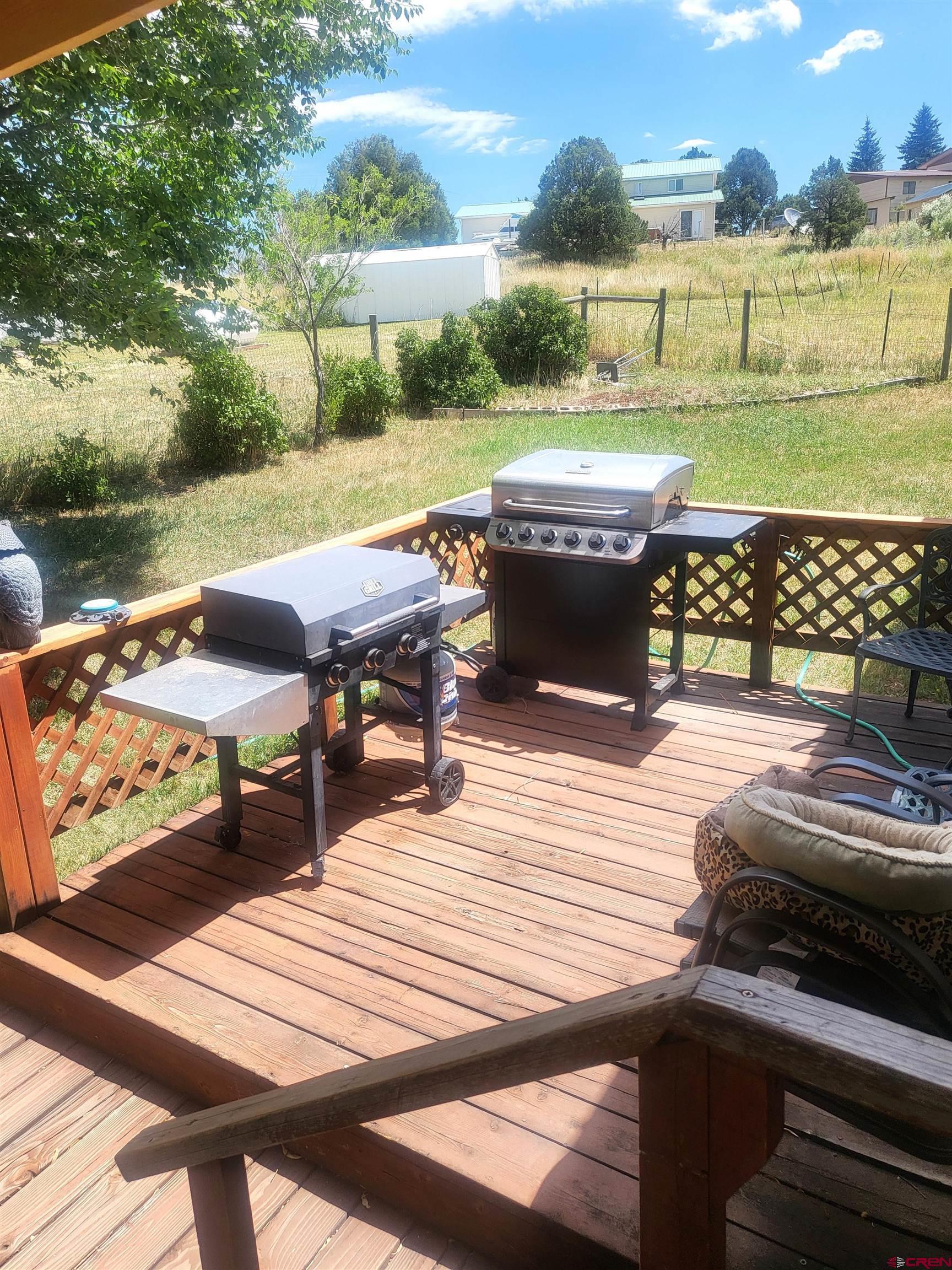 167 Homestead Road Norwood, CO 81423 - Photo 8 of 31 Gallery Image 8