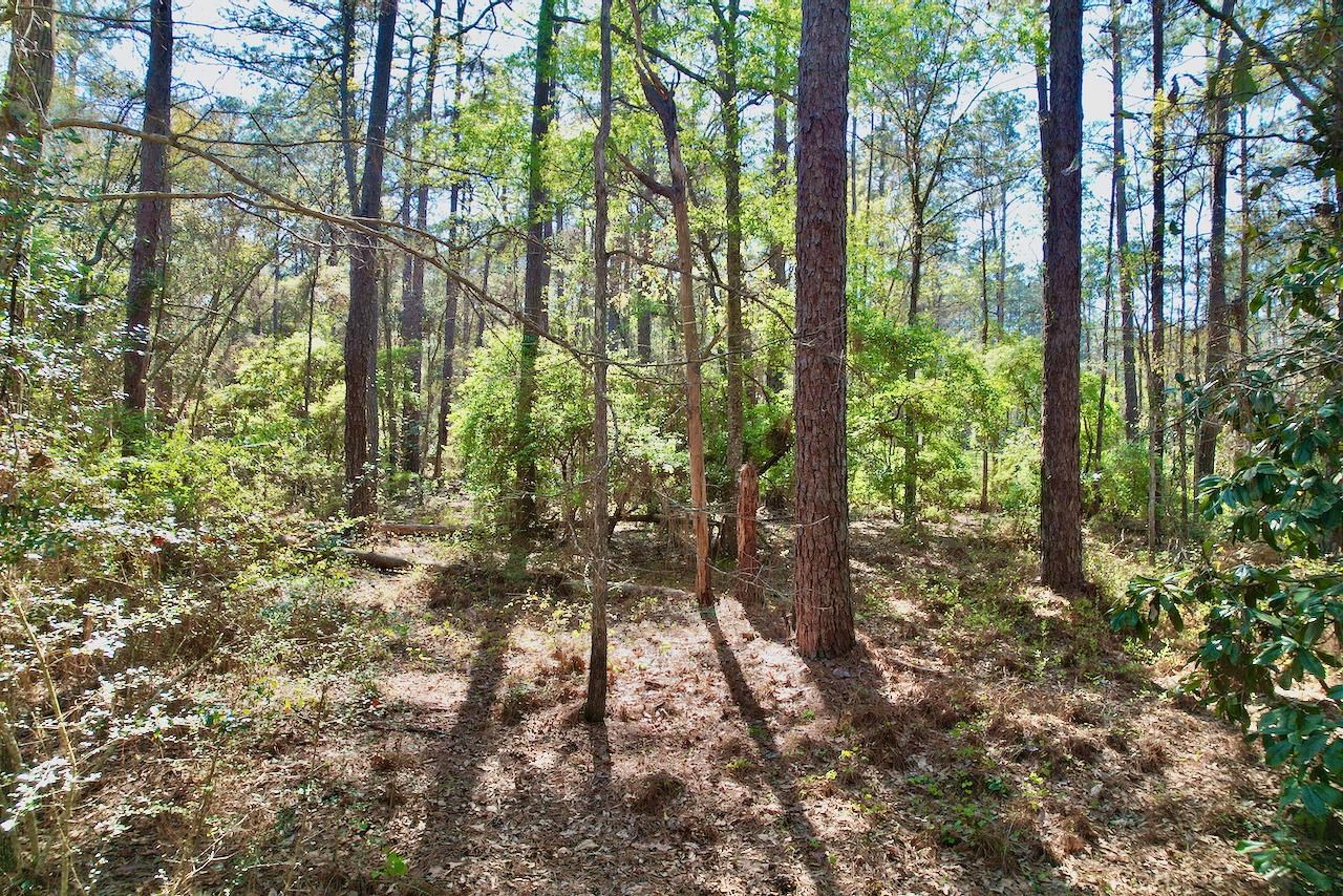 0 Amber Valley Road Tallahassee, FL 32312 - Photo 32 of 38 Gallery Image 32