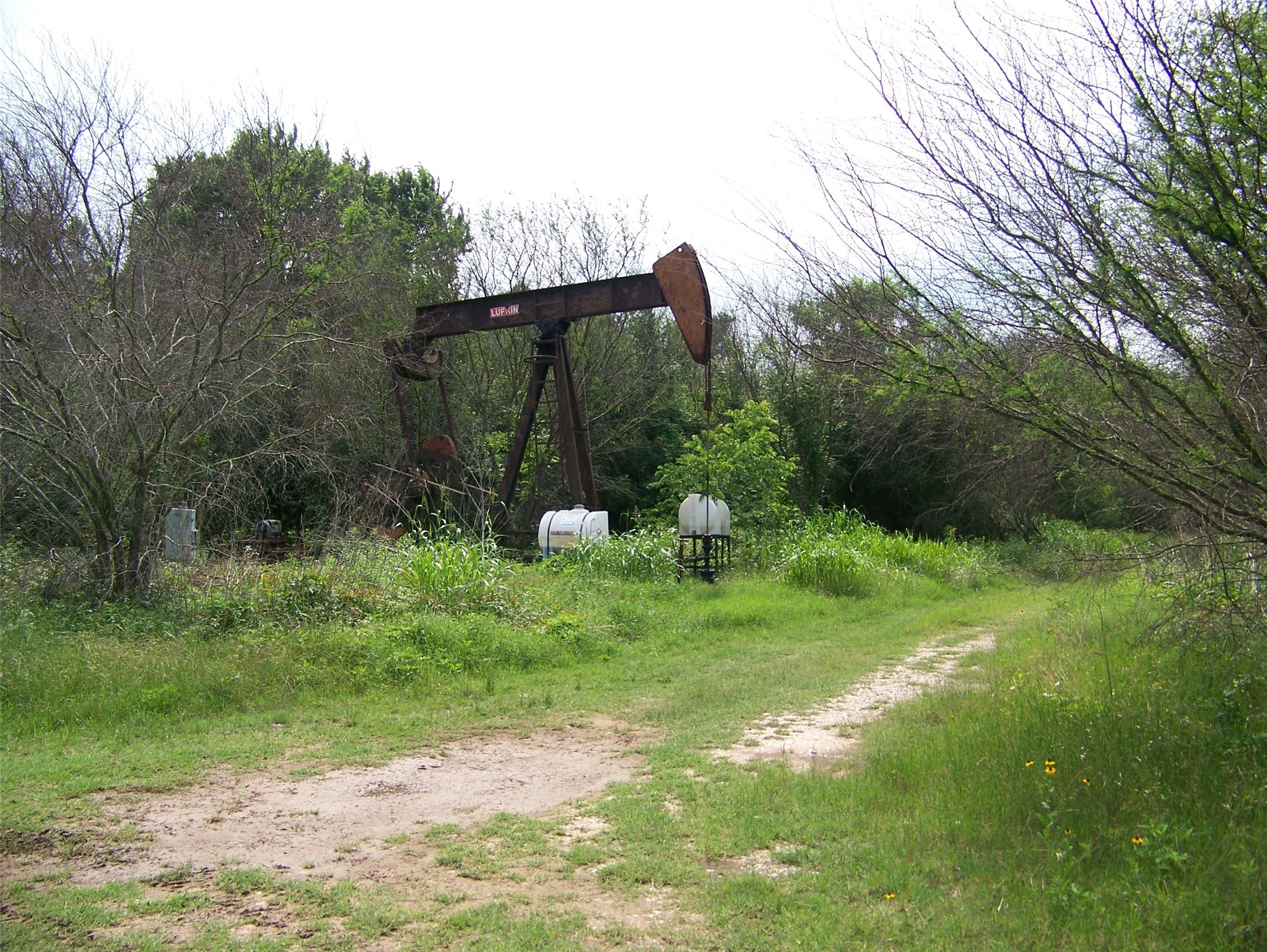 Gallery Image 7