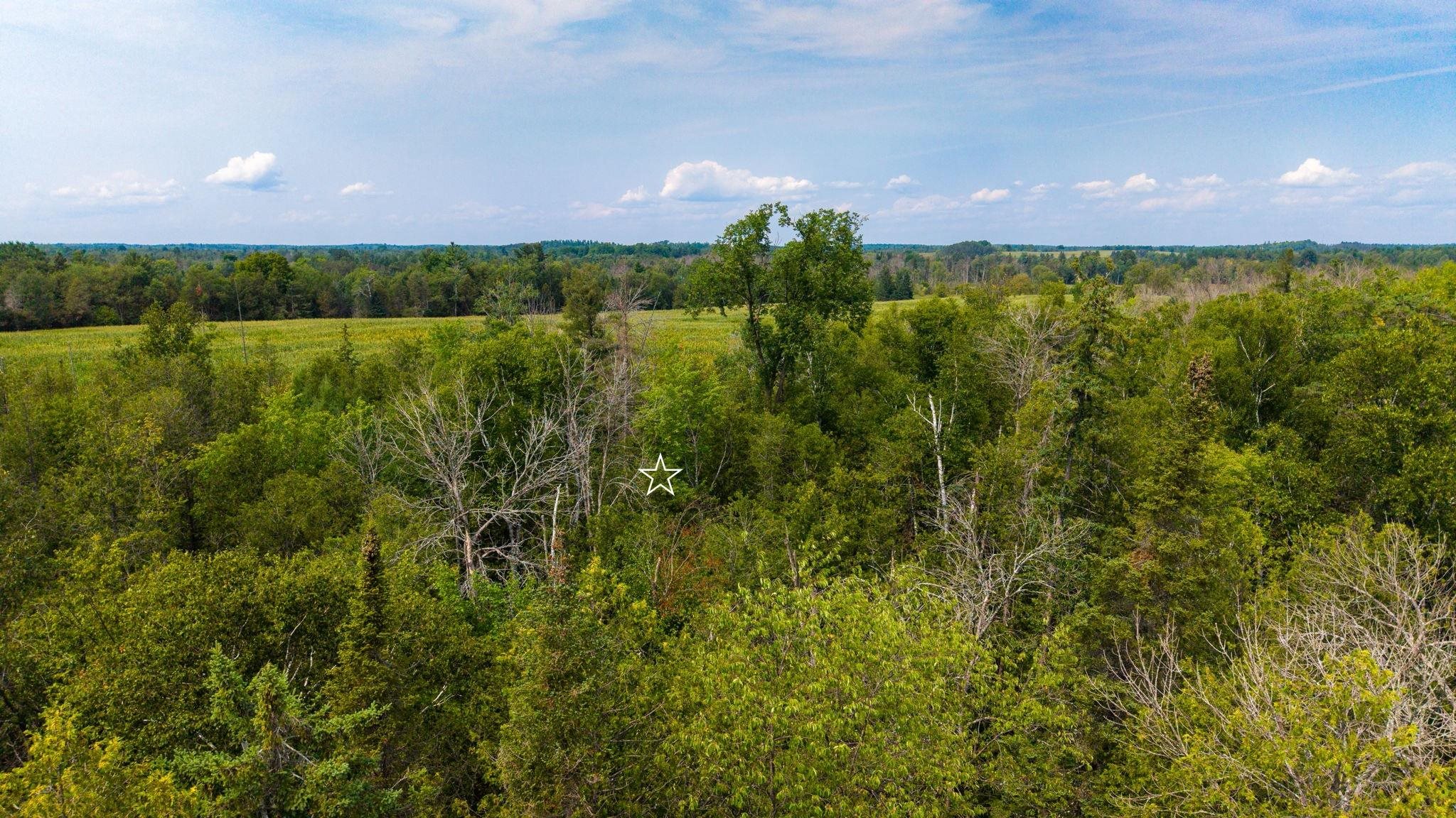 358 County Road Daggett, MI 49821 - Photo 18 of 26 Gallery Image 18