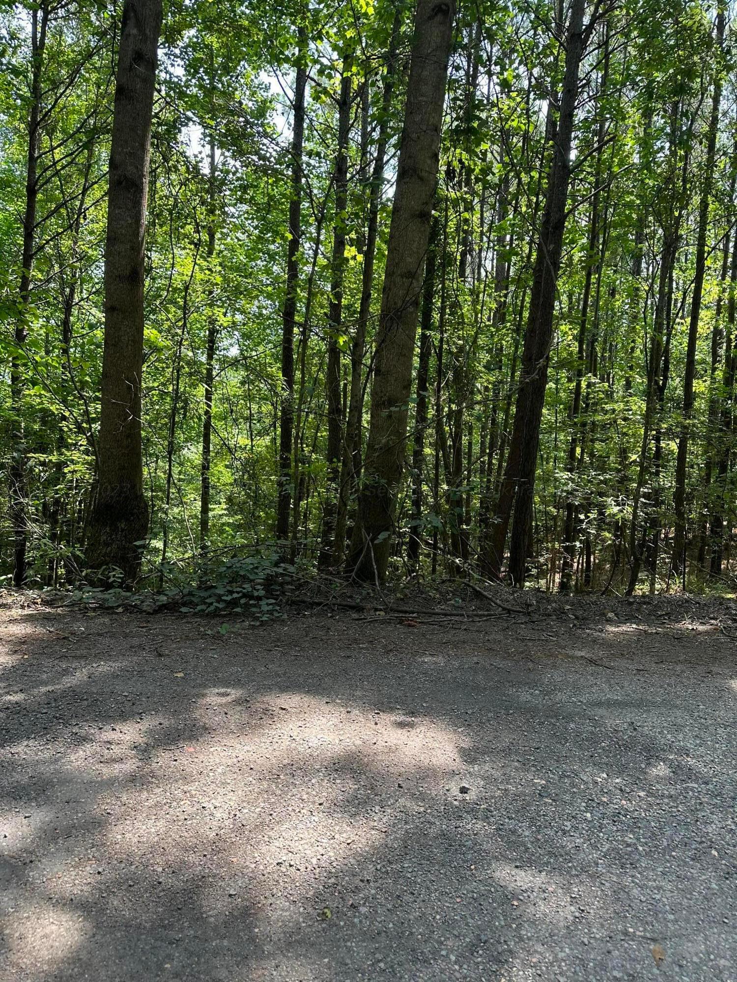 Browns Road Parrish, AL 35580 - Photo 1 of 1 Gallery Image 1