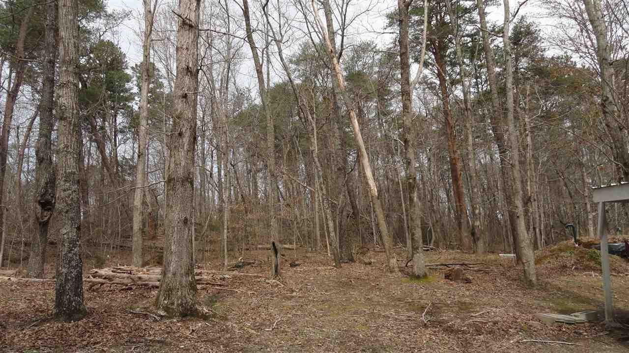 298 Wetmore Springs Road Delano, TN 37325 - Photo 15 of 31 Gallery Image 15