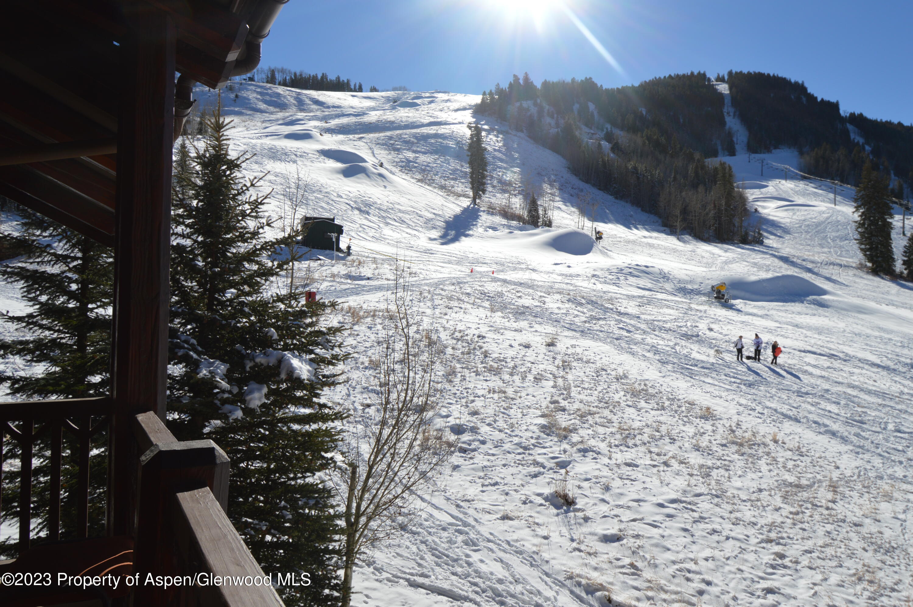 197 Prospector Road, Unit 2203 SUMMER INTEREST 8 Aspen, CO 81611 - Photo 3 of 16 DSC_0033