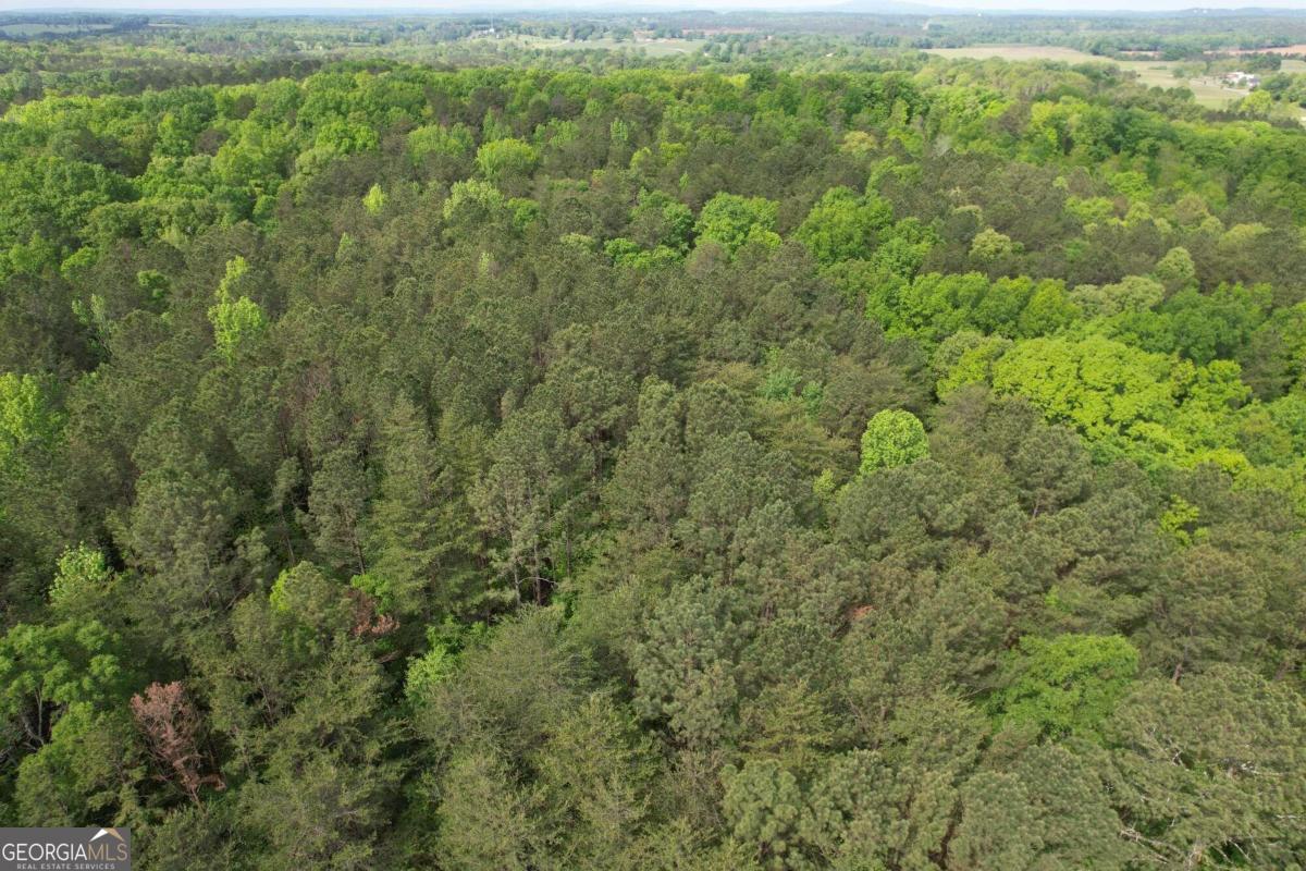 0 Old Collard Valley Road Cedartown, GA 30125 - Photo 1 of 1
