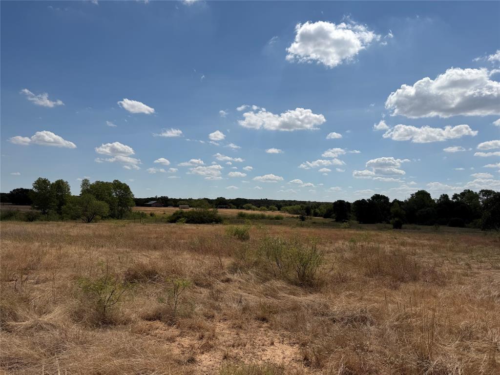 1891 Jordan Road Weatherford, TX 76088 - Photo 6 of 10 Expansive open land featuring natural vegetation and distant tree lines