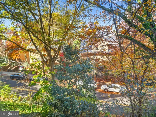 a backyard of a house with a tree