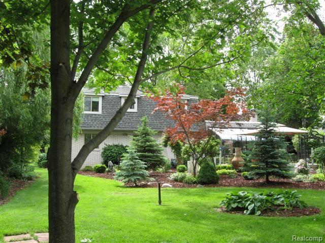 Rear 2