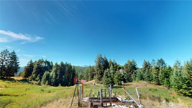 a view of swimming pool with a yard