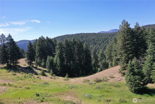 a view of a lush green field
