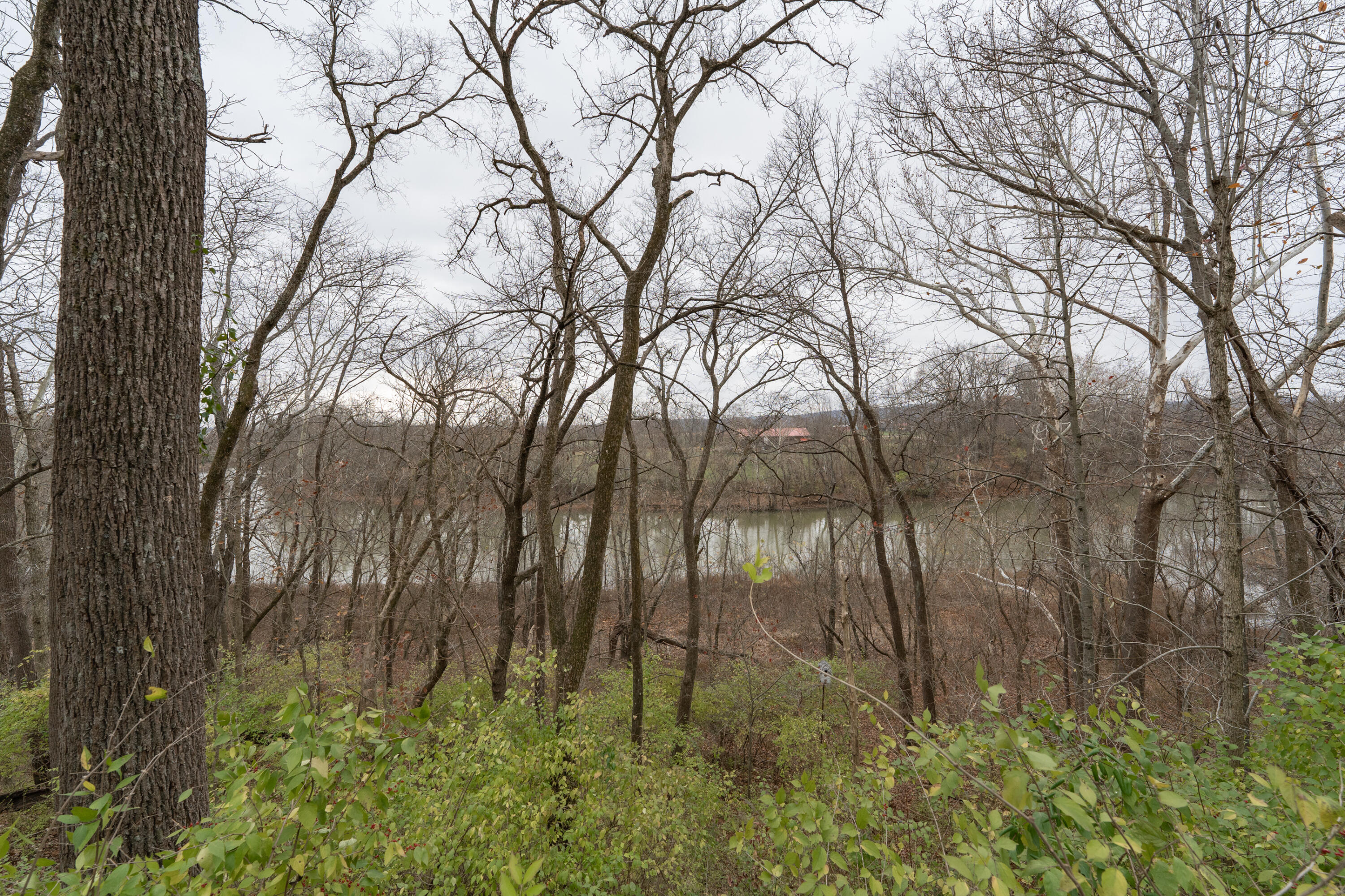 11739 Riddles Run Road Union, KY 41091 - Photo 11 of 25 Gallery Image 11