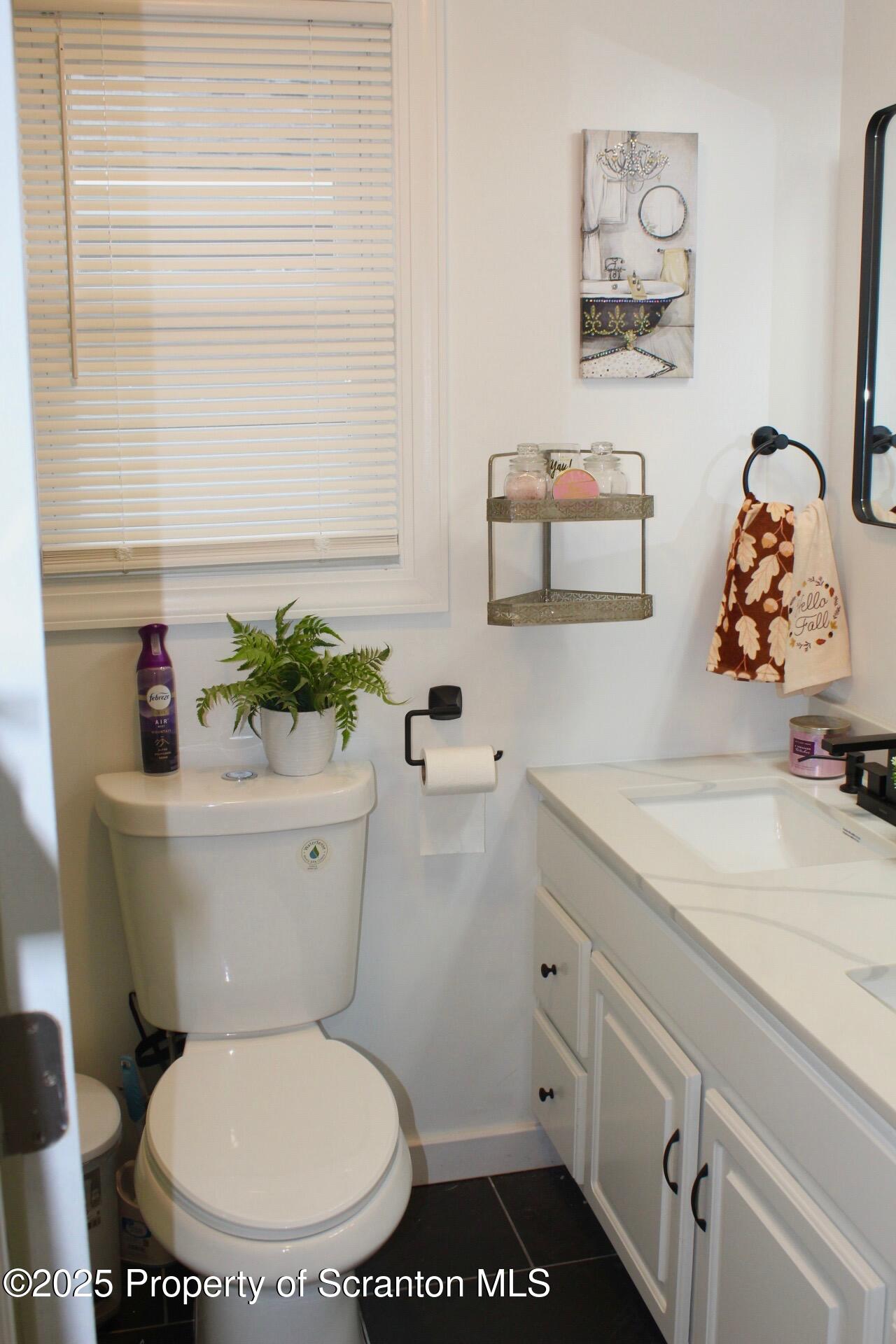 260 East Broad Street Nanticoke, PA 18634 - Photo 14 of 19 a white toilet sitting next to a bathroom sink