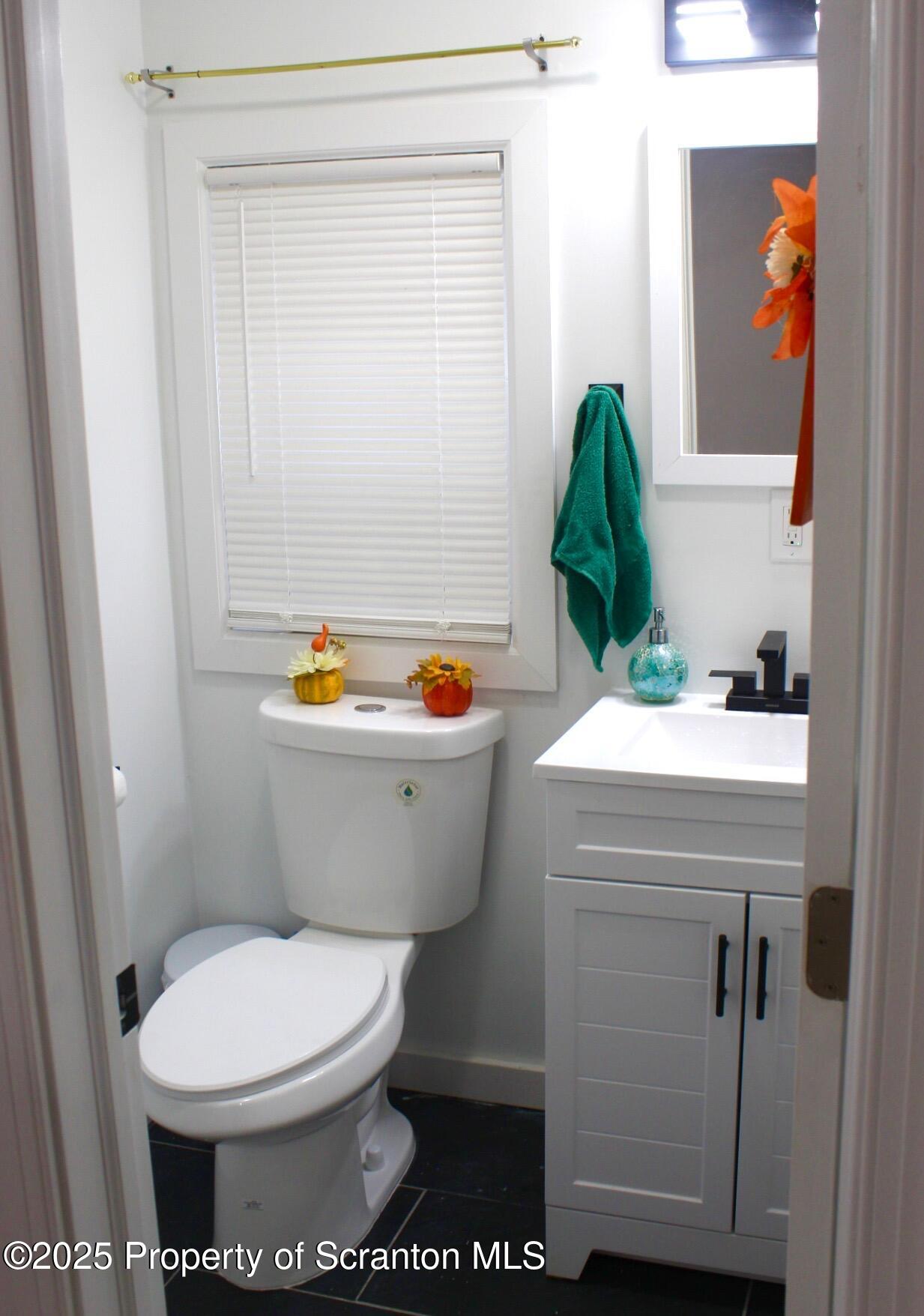 260 East Broad Street Nanticoke, PA 18634 - Photo 8 of 19 a bathroom with a toilet a sink and a mirror
