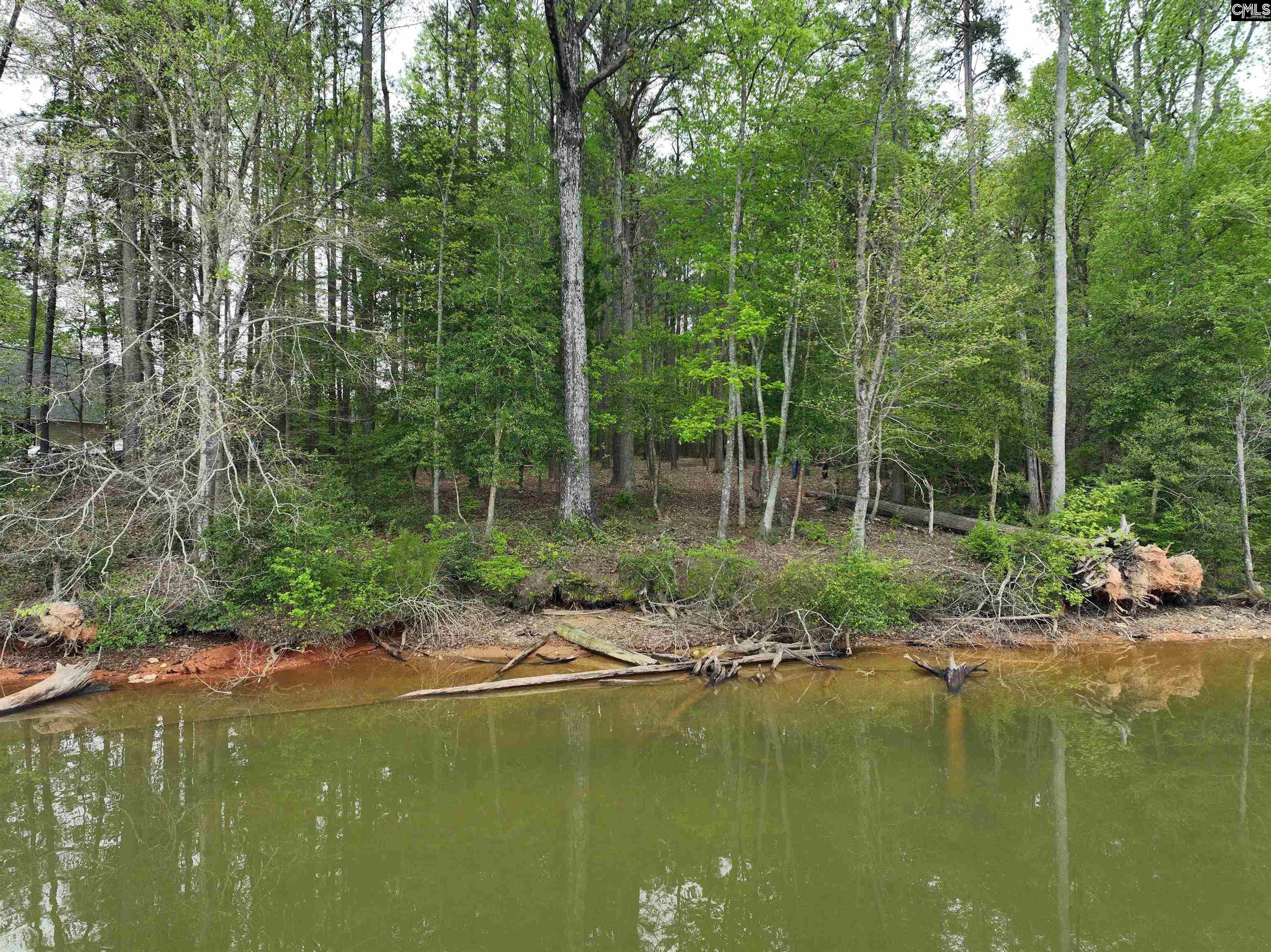 Tbd Fannie Black Road Prosperity, SC 29127 - Photo 17 of 28