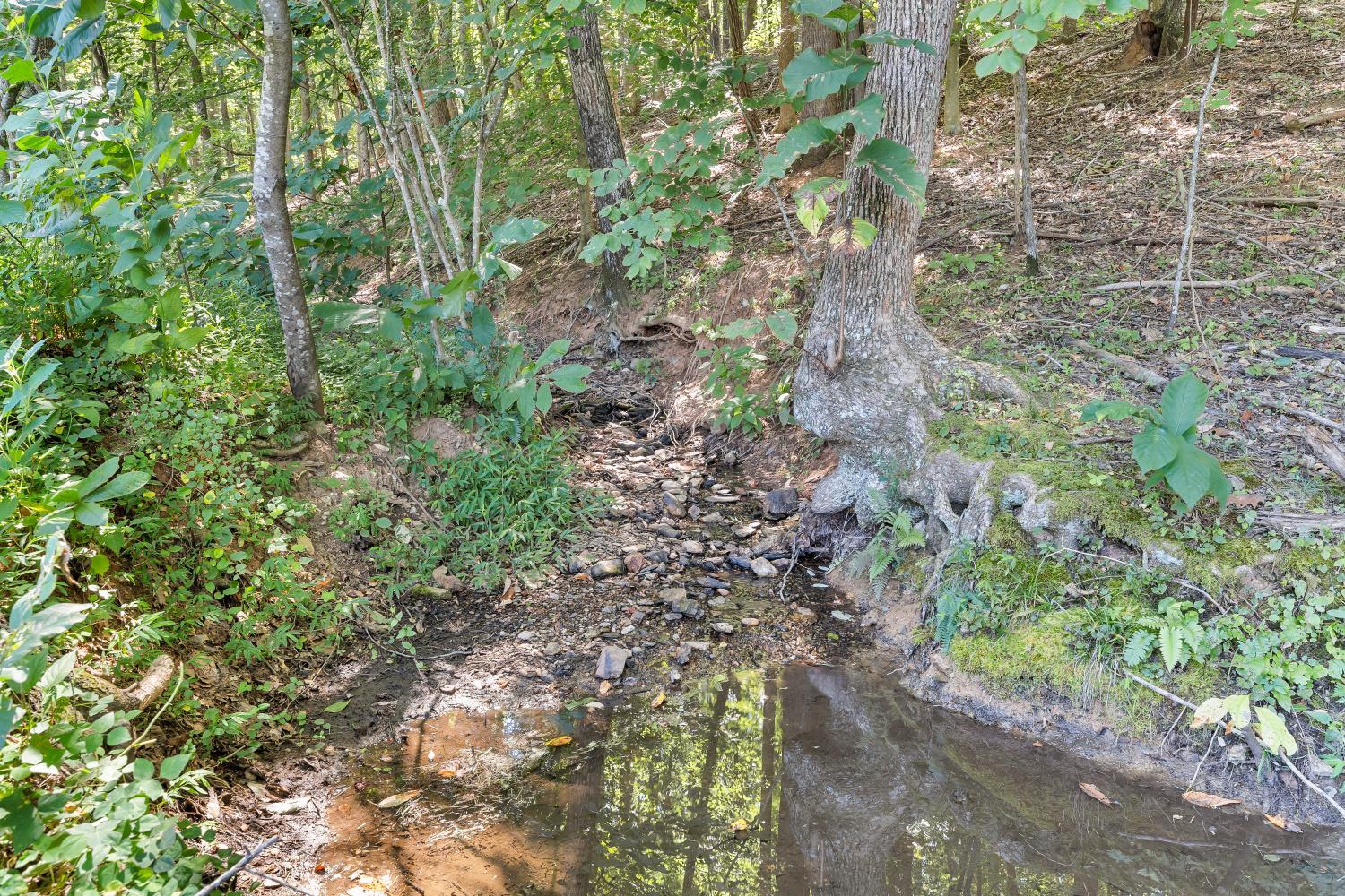 4344 Smith Mountain Road Penhook, VA 24137 - Photo 69 of 100 Stream