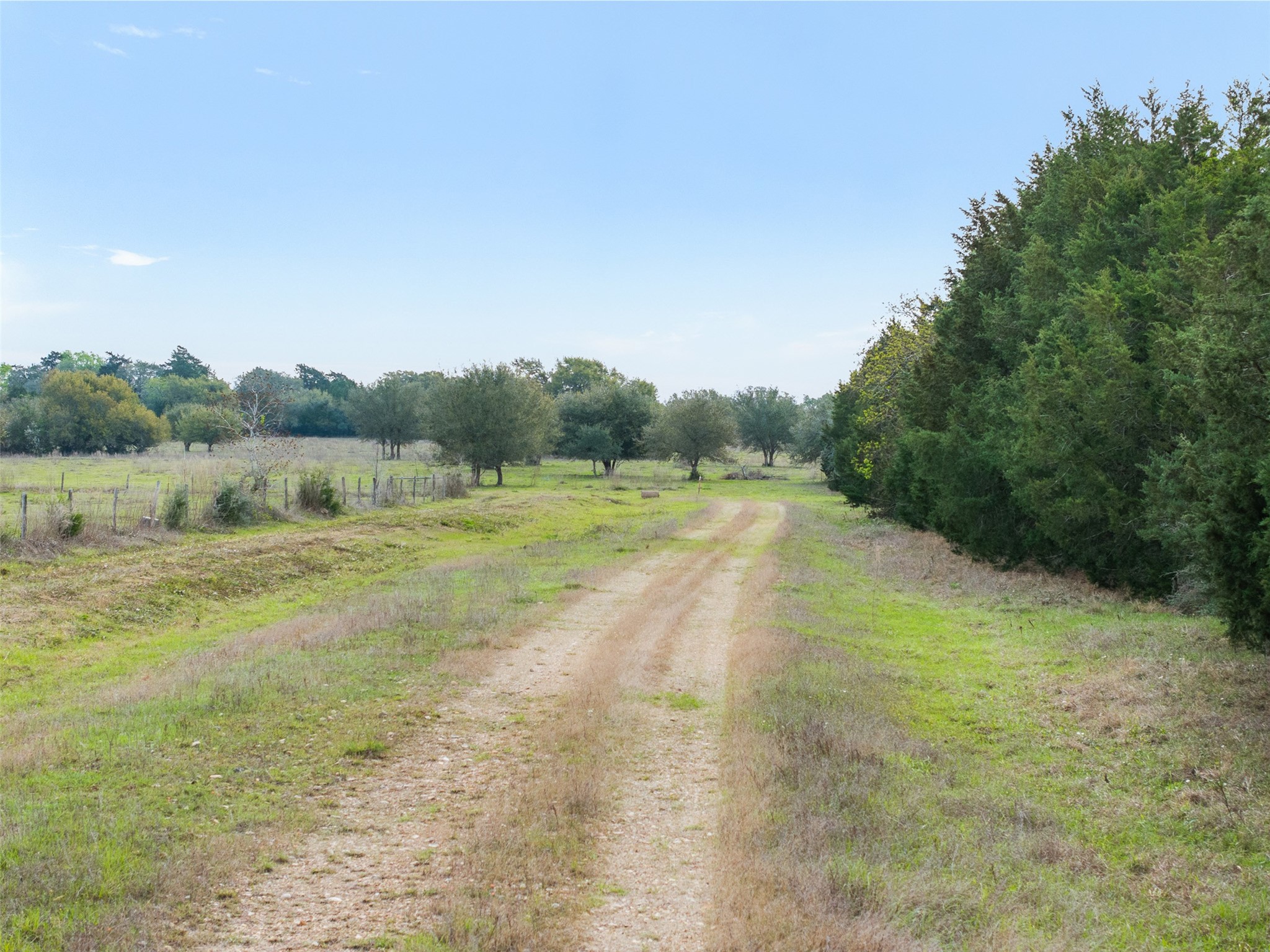 1017 New Ulm Road Cat Spring, TX 78933 - Photo 20 of 25