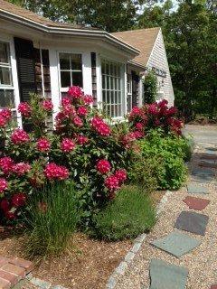 390 School House Road Eastham, MA 02642 - Photo 3 of 30 Additional Photo