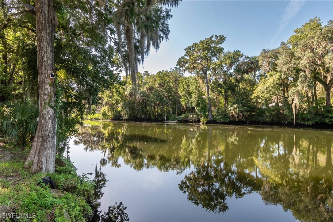 a view of water with a large tree in the background