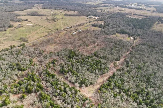 a view of a yard with a dry yard