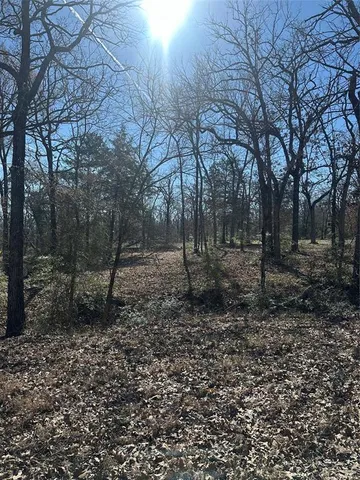 a view of a yard with lots of trees