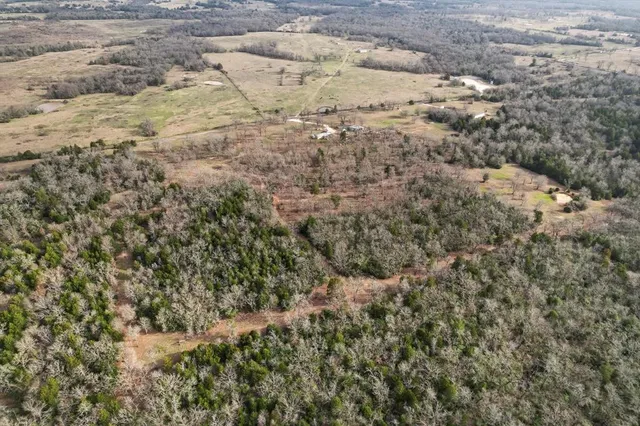 a view of a dry yard with green space