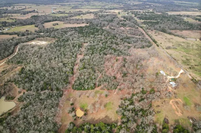 a view of a dry yard with trees