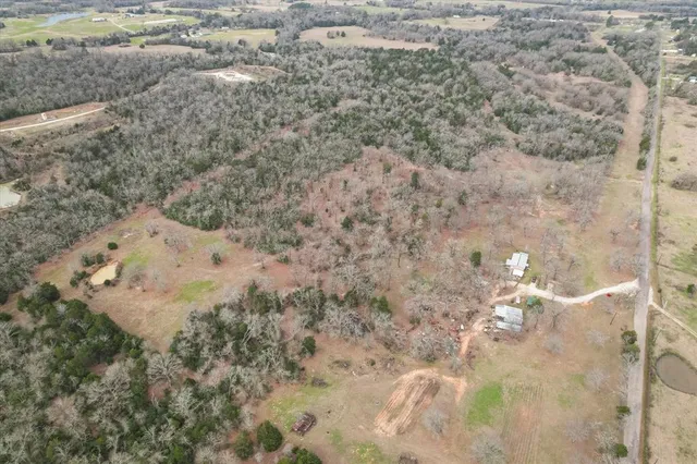 a view of a dry yard