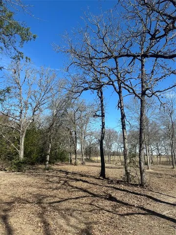a view of a backyard of the house