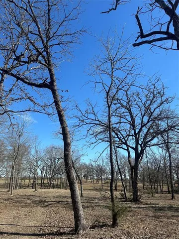 a view of outdoor space with lots of trees