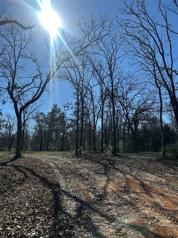 a view of a backyard with large trees