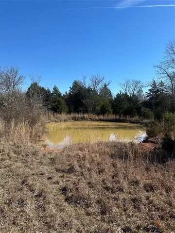 a view of outdoor space with swimming pool and trees in the background
