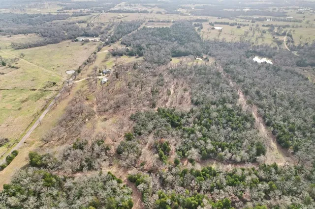 a view of a yard of a building