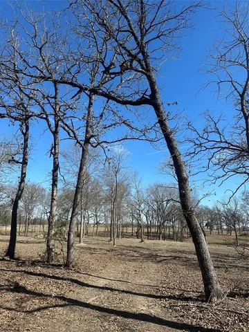 a view of a yard with an tree