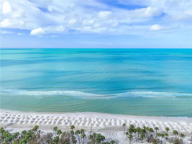 a view of a big room with a big yard