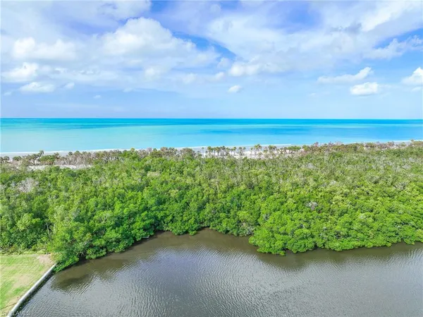 a view of a lake with a city view