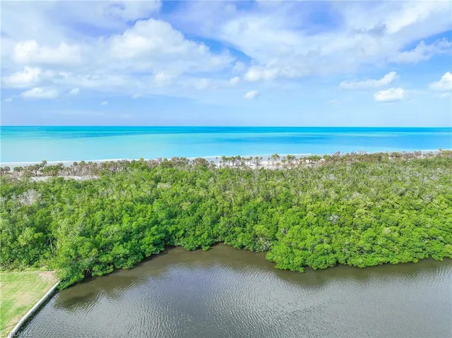 a view of a lake with a city view