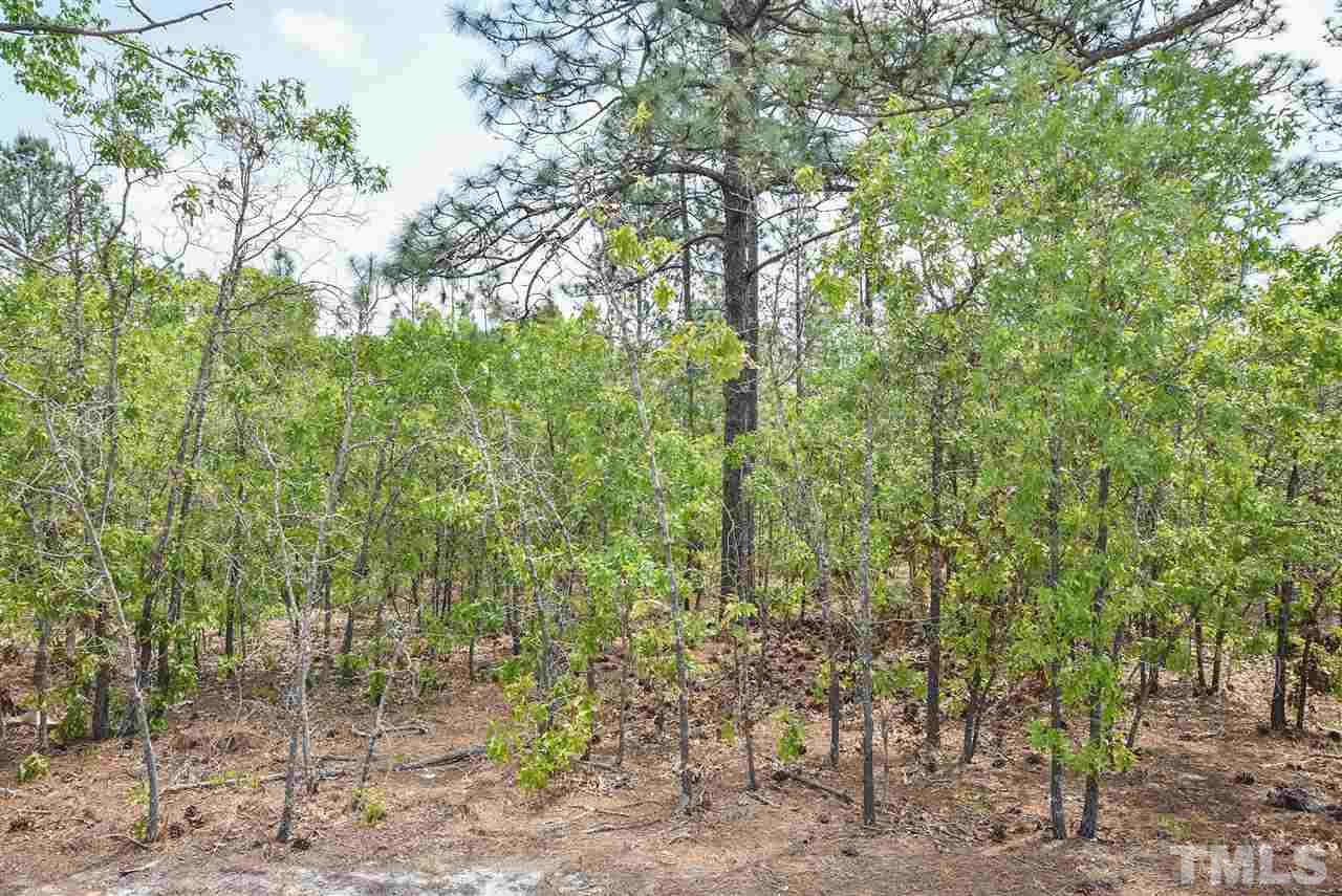 2047 Docs Road Lillington, NC 27546 - Photo 29 of 30 Gallery Image 29